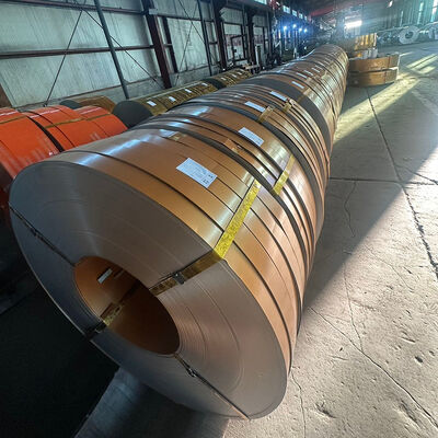 Bon prix ASTM PPGL bobines d'acier 0,8 mm bobine recouverte de zinc prépeinte à chaud en ligne